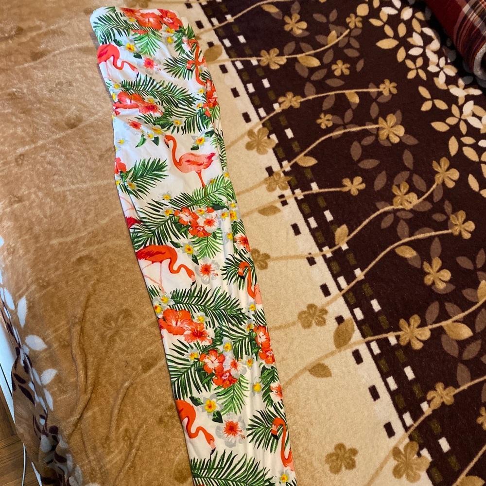 Legging. - Picture 2 of 5